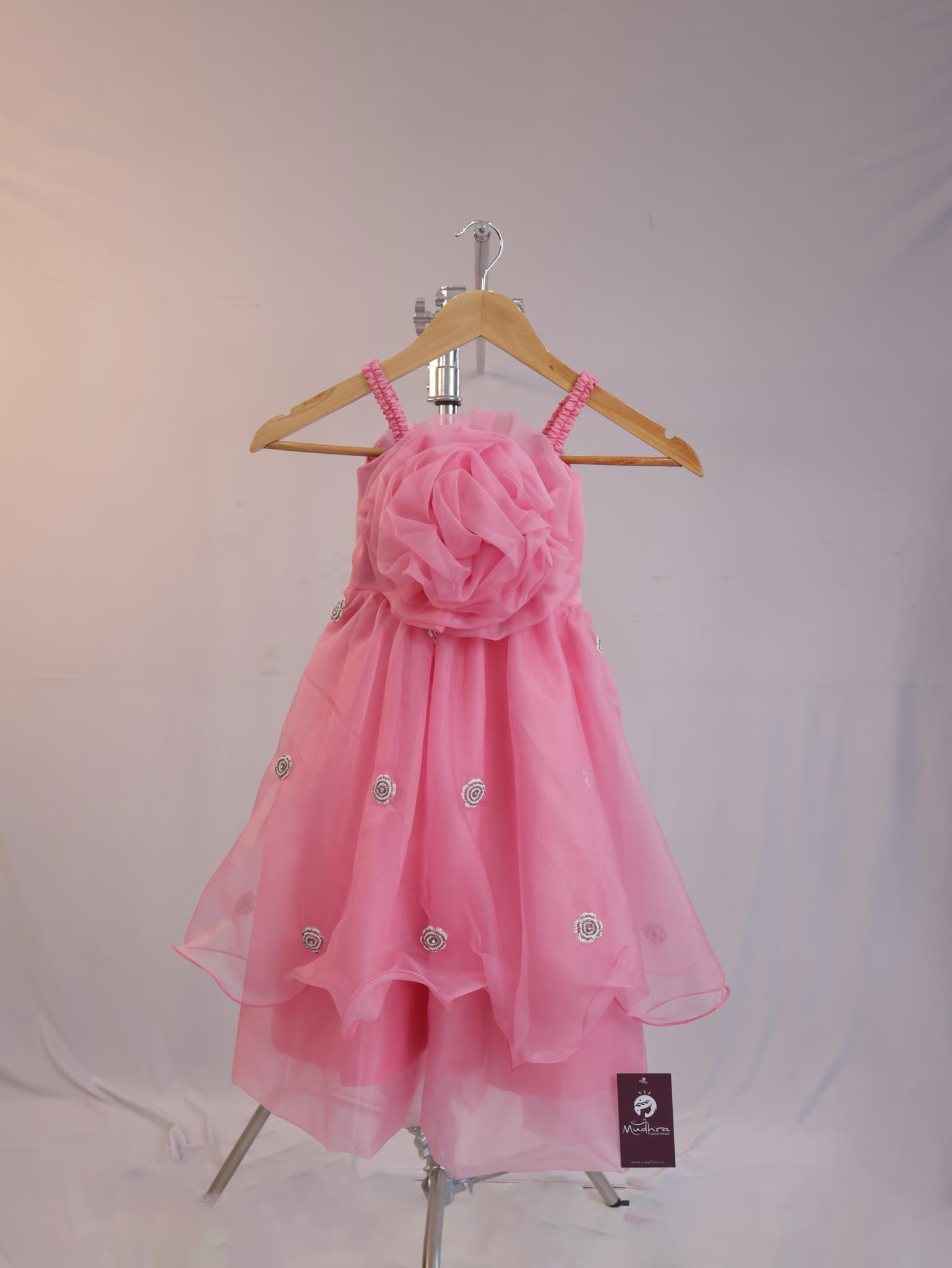 Blush Blossom Princess Party Dress - Image 2