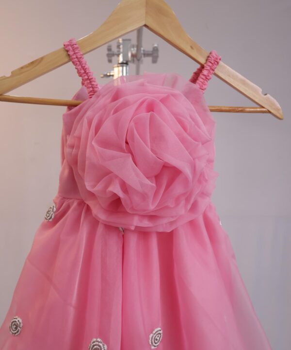 Blush Blossom Princess Party Dress