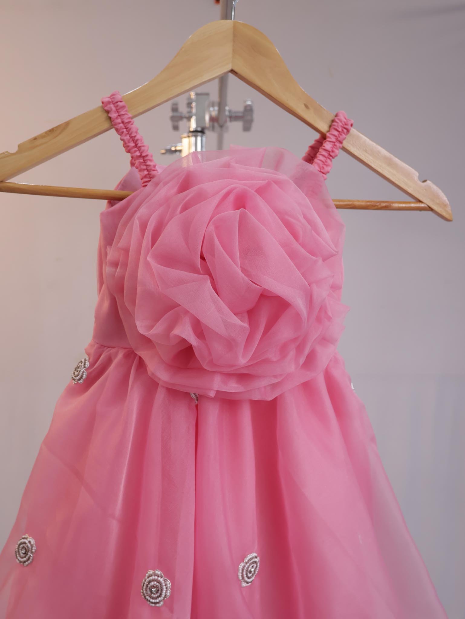 Blush Blossom Princess Party Dress